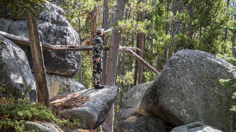 Bugling for elk in october