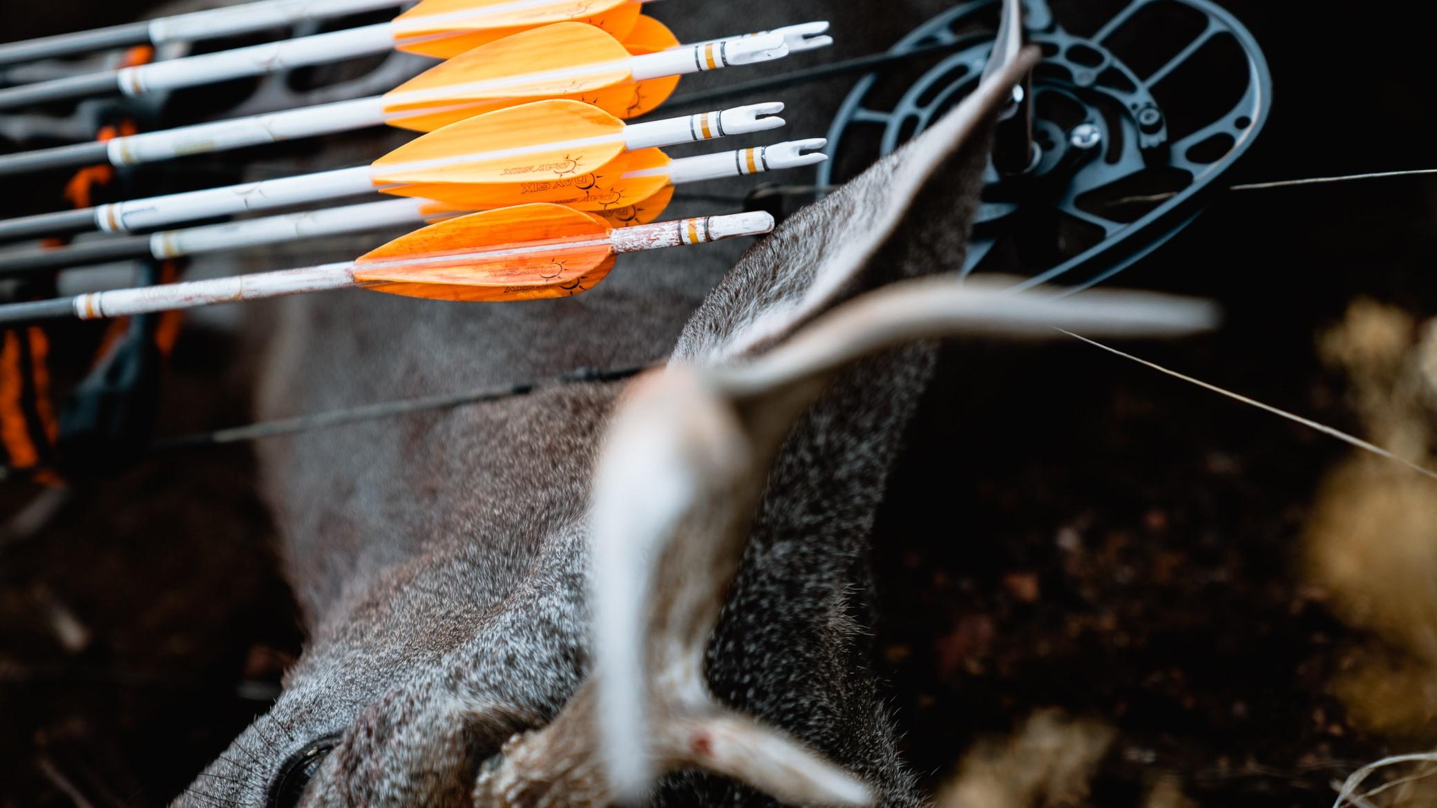 Spot and stalk bowhunting going the extra mile in prep 6