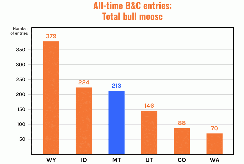 Shiras moose all time records