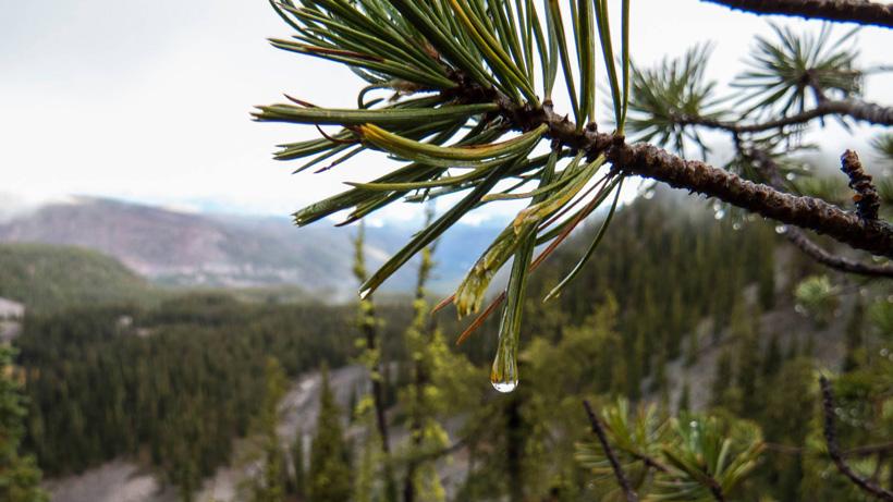 Mid season hunting struggles