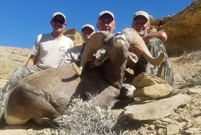 Utah desert bighorn sheep taken with high desert wild sheep guides