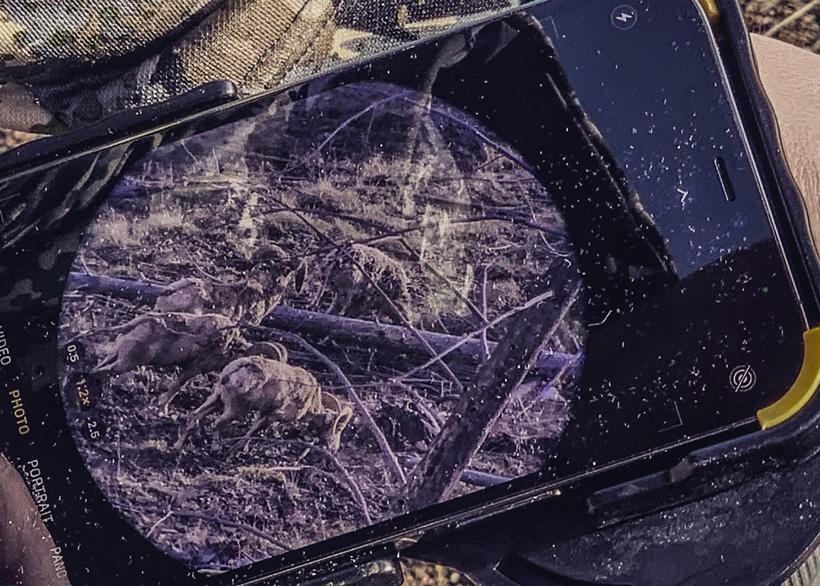 Boots on the ground scouting