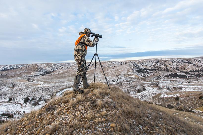 Brady miller glassing for mule deer