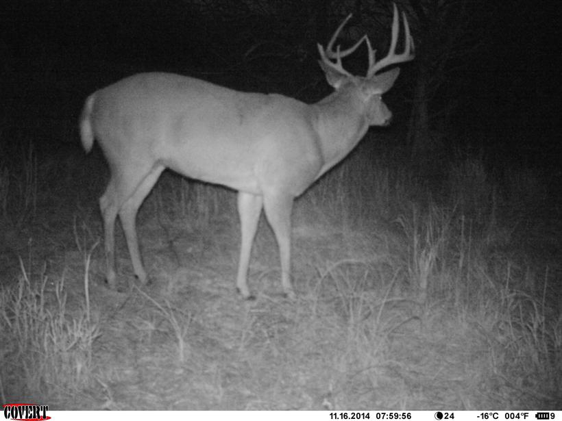 Big 8 post rut