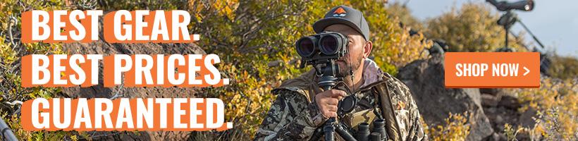 Two Wisconsin hunters shoot elk during rifle deer season - 0