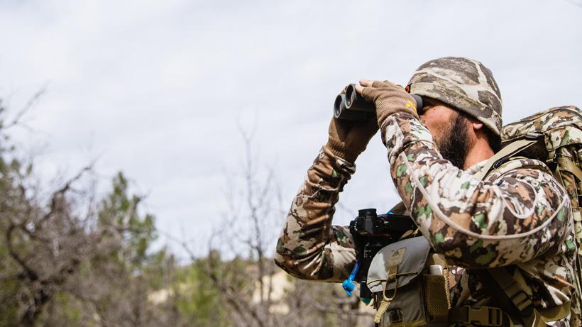 Picking apart the terrain for arizona deer