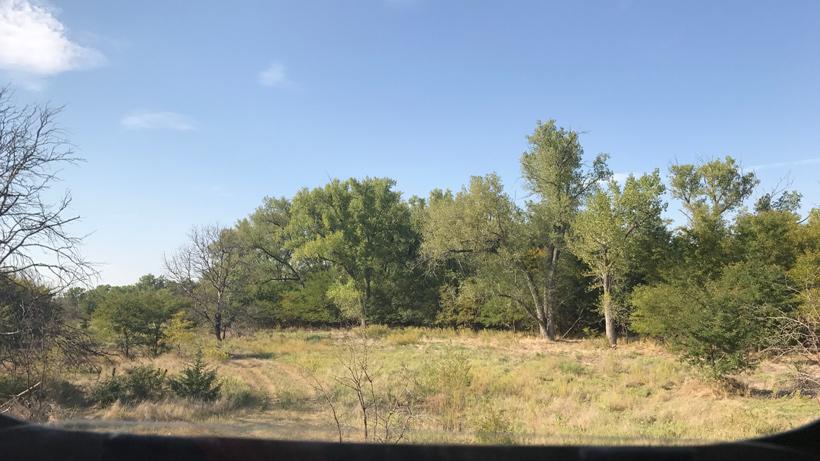 Kansas whitetail hunt img_20