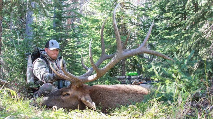 5 proven elk hunting tactics to increase success - 7