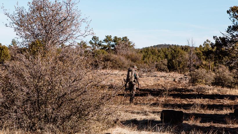 Tips for blood trailing 4