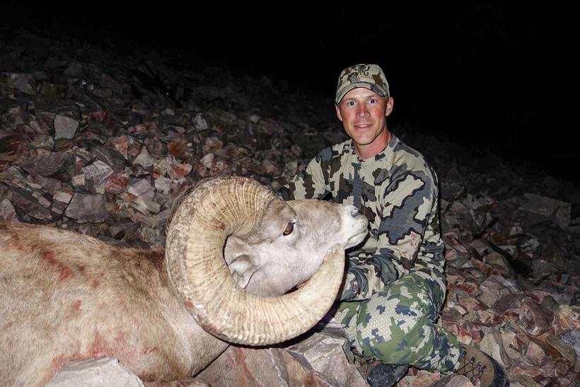 Idaho rocky bighorn sheep