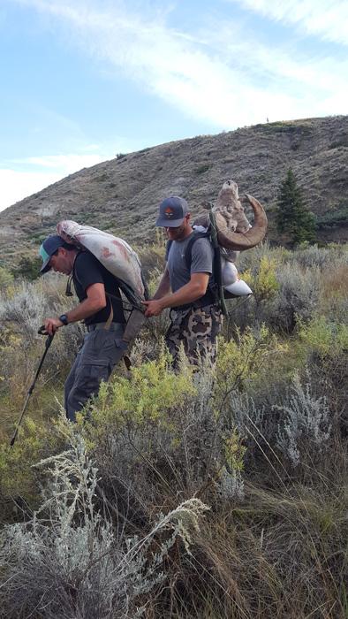 Beating the odds on a Montana bighorn sheep hunt - 13