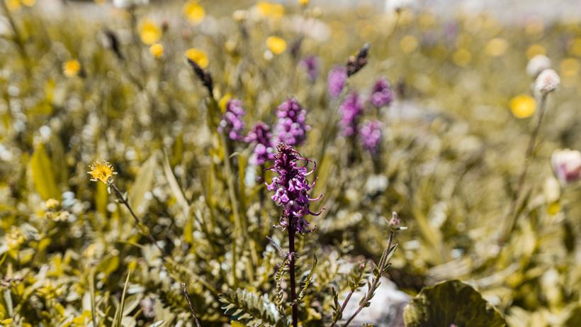 Summer hikes for fall hunts 2