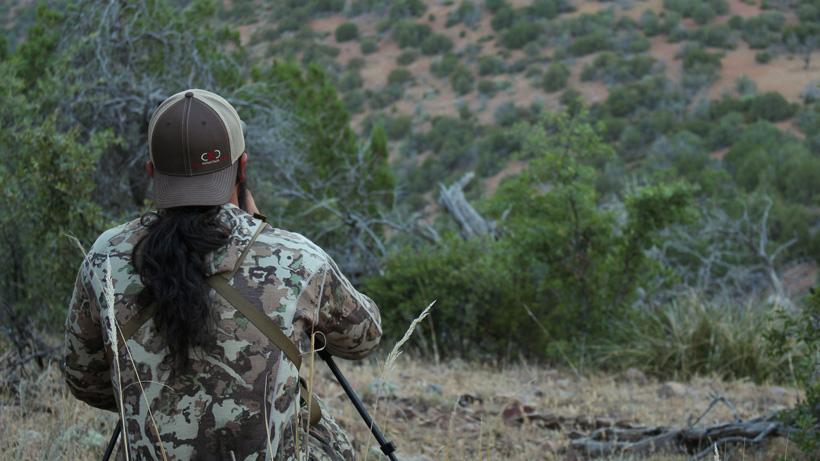 Glassing for deer in arizona