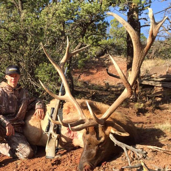 Giant new mexico bull elk taken with mangas outfitters