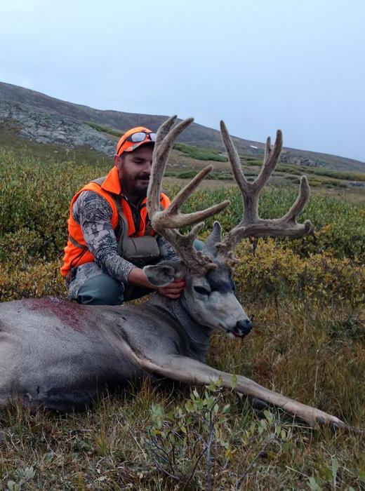 Matt with his colorado velvet muzzleloader mule deer buck
