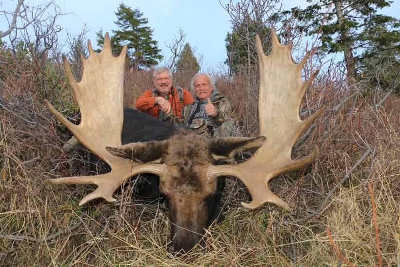 Awesome idaho bull moose taken with bearpaw outfitters