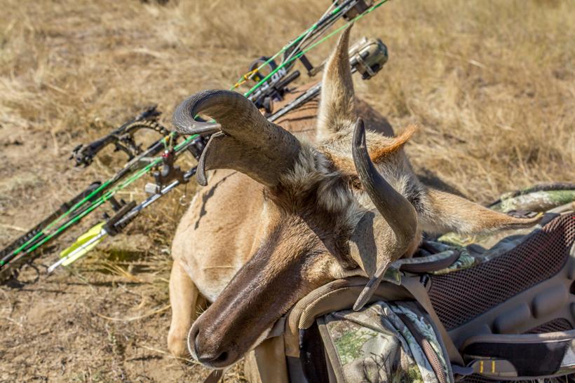 APPLICATION STRATEGY 2015: Montana antelope - 4d