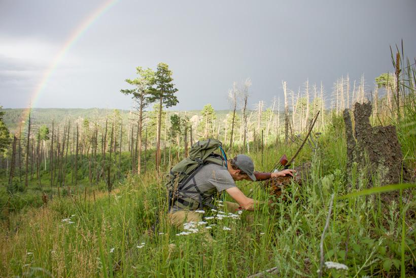 Stump shooting for practice while hunting