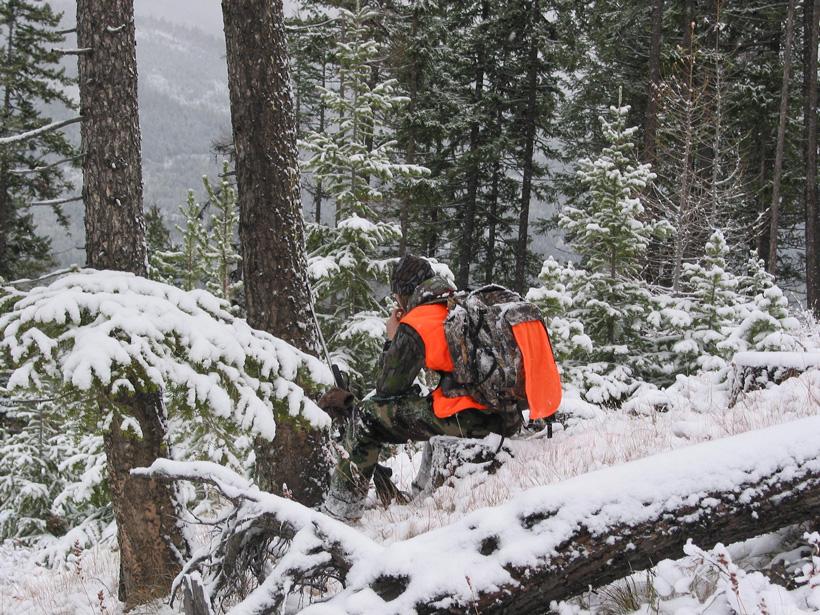7 awesome reasons why you need to hunt in Colorado - 2