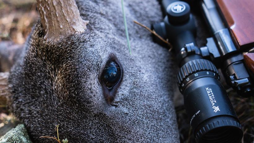 Pic 2 - The excitement of October Coues deer hunts