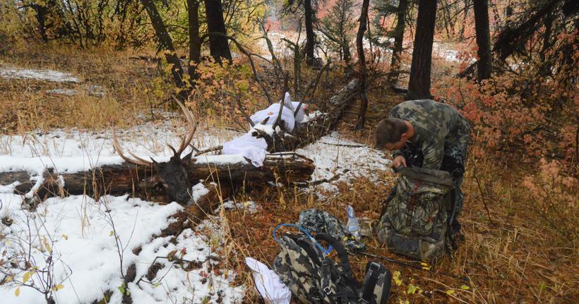 Packing out elk meat and rack in idaho