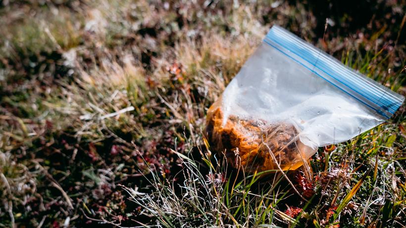 3 reasons why you need a dehydrator wild game 3