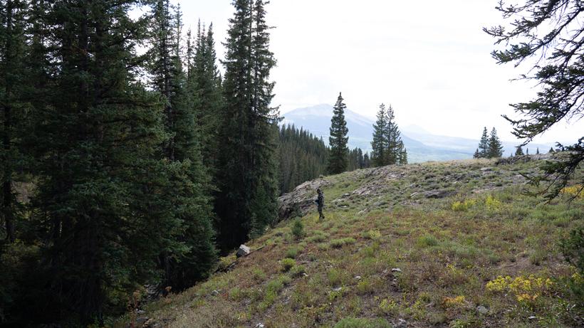 Tag teaming during an elk hunt