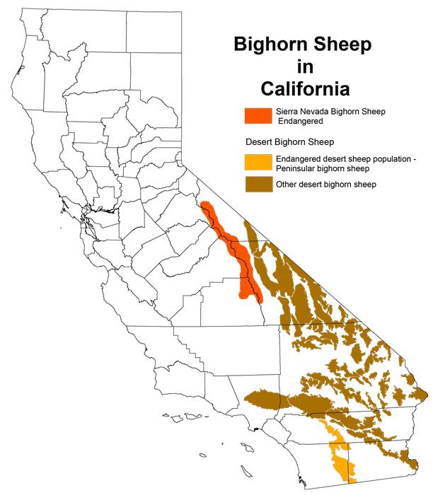 APPLICATION STRATEGY 2018: California Elk and Sheep - 3d