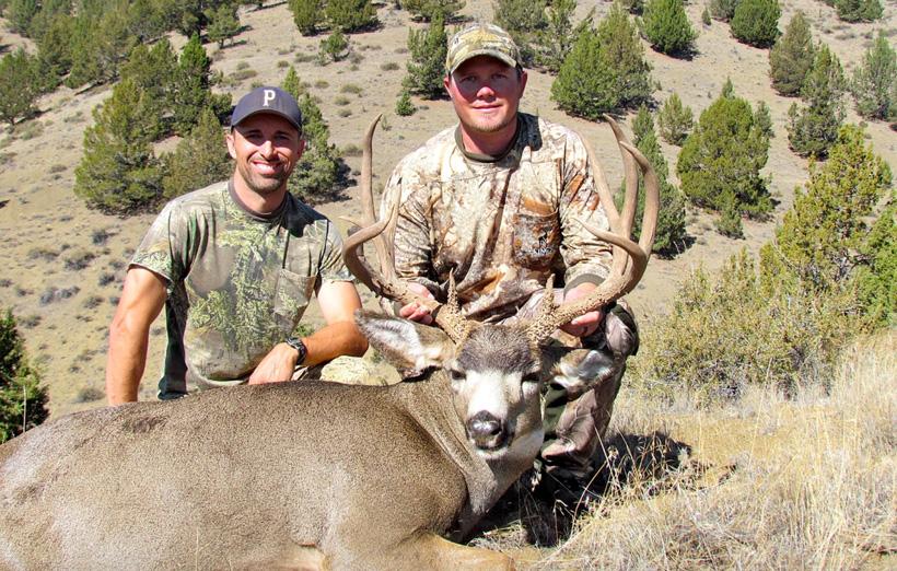 Mule deer buck taken with aims high hunting