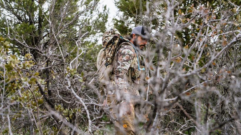 Bowhunting for success: Late season Coues deer tactics - 3
