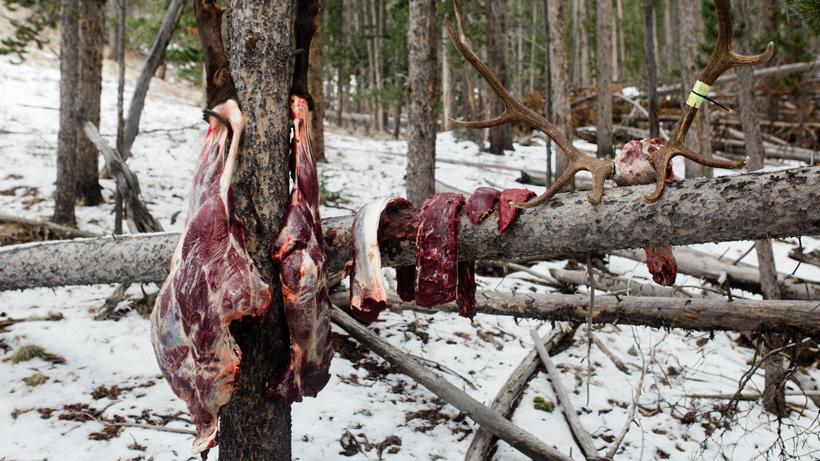 Finding time to hunt as a new parent 3