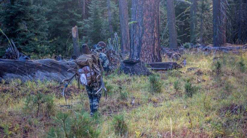An elk hunting season to remember - 15