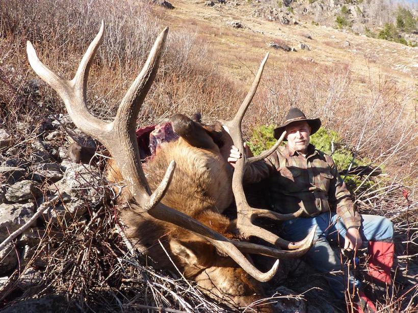 Montana bull elk taken with lazy j bar o outfitters