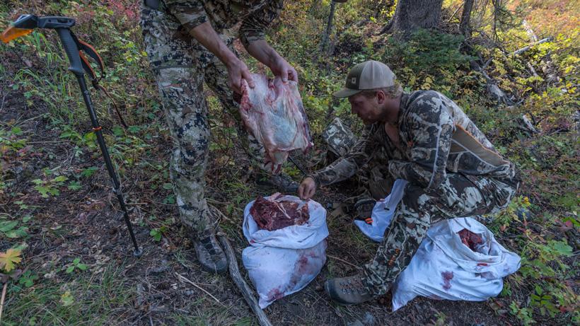 Deboned elk meat in game bags