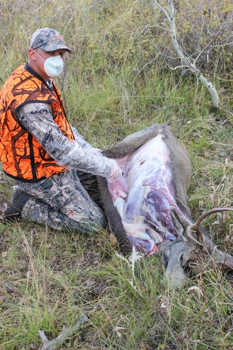 Brad tribby cutting deer while avoiding allergies
