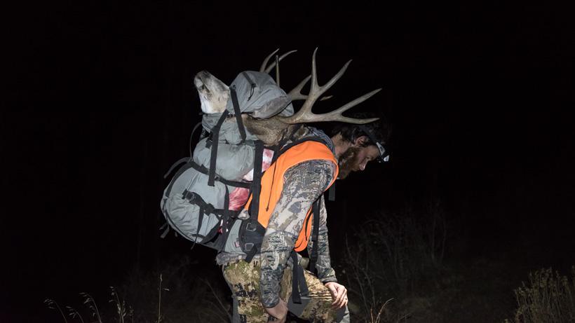 Packing out colorado mule deer in stone glacier backpack