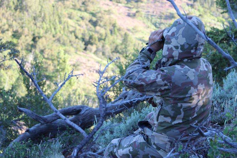 Ron elmer glassing for bull elk