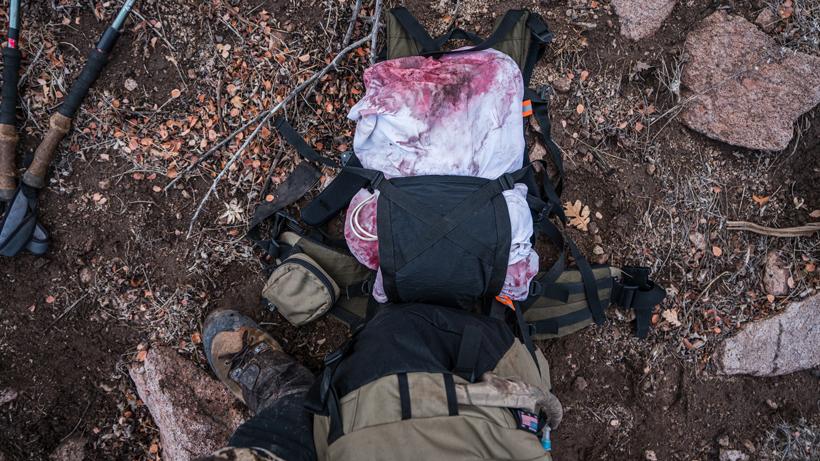 Packing out deer meat with stone glacier backpack