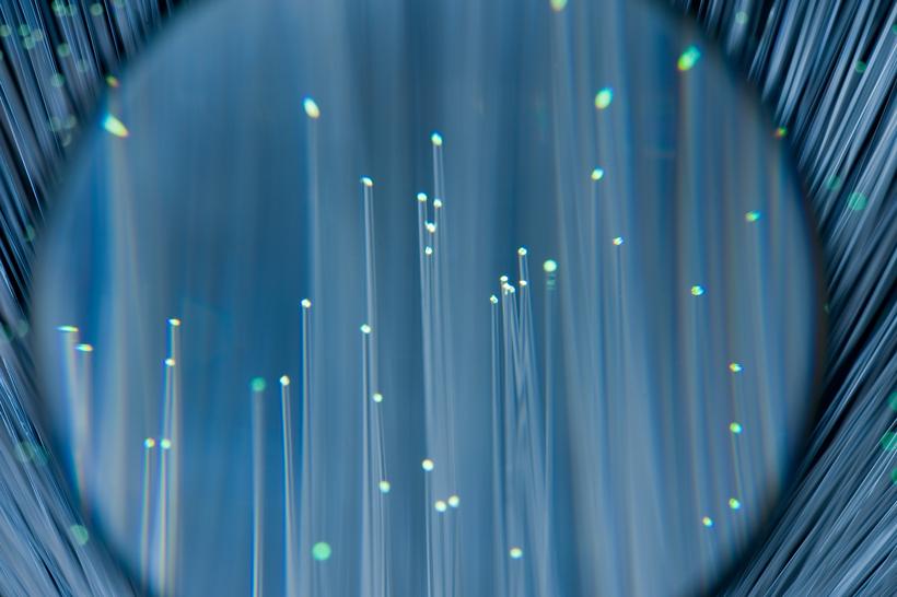 Fiber optics in hunting applications
