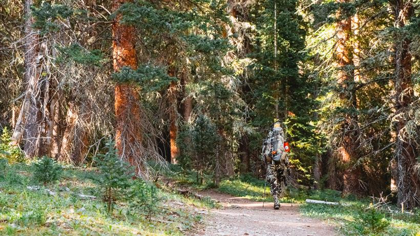 Silencing your bow 5