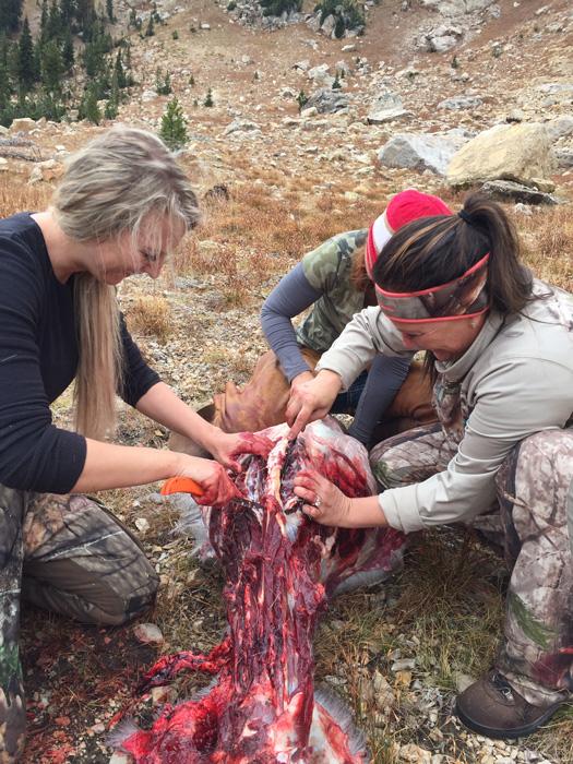 Girls deboning a Wyoming mule deer buck