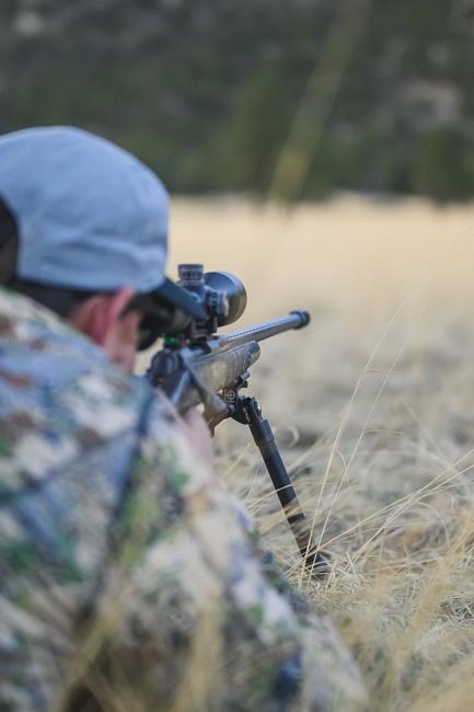 Verifying rifle data