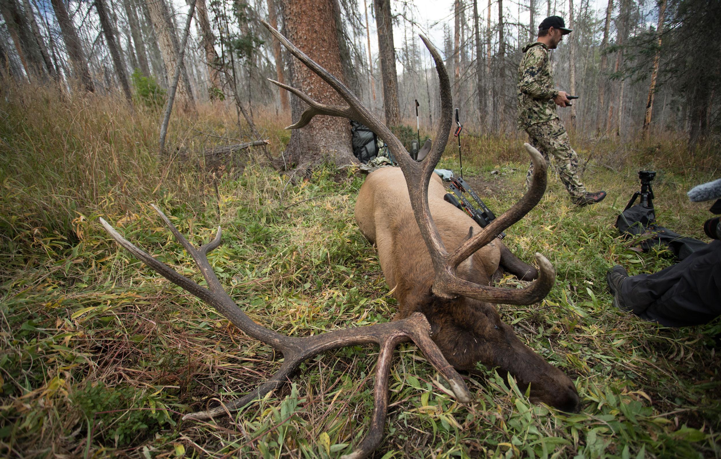 Successful archery elk hunt in September