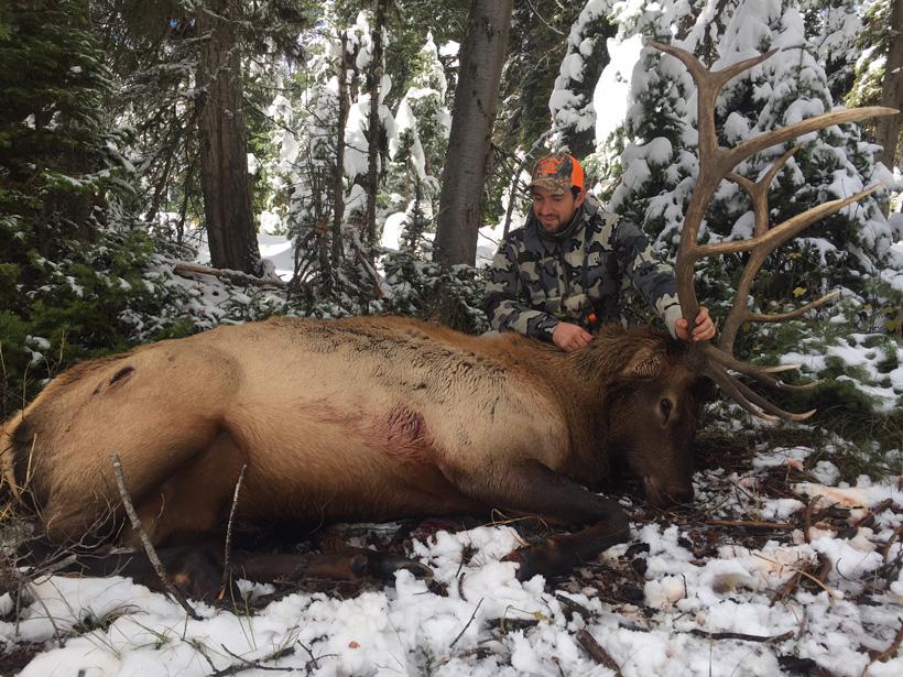 Steve greanias with his wyoming bull elk