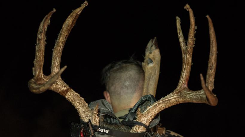 Packing out mule deer