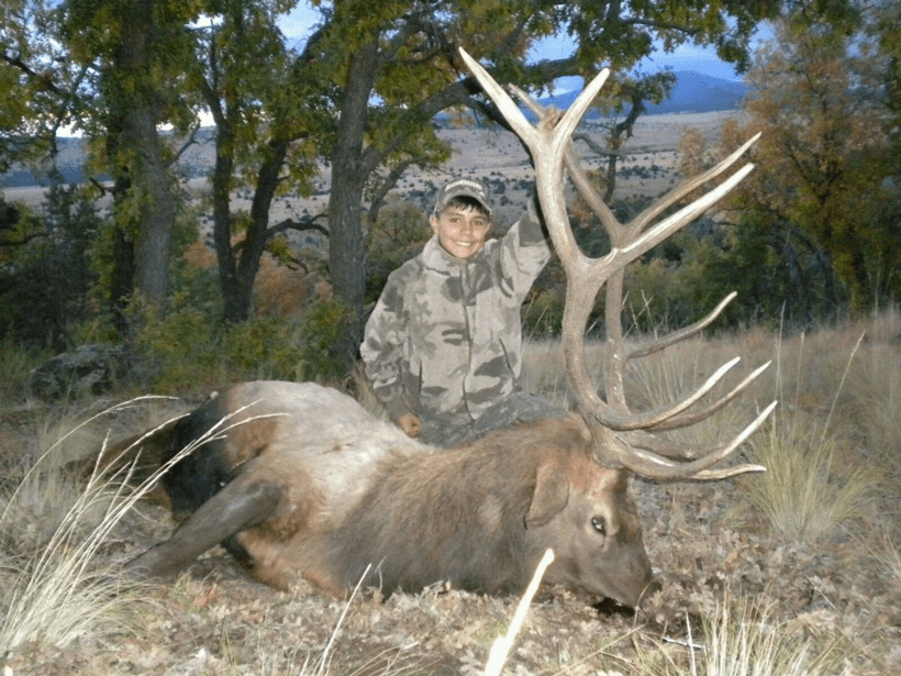 APPLICATION STRATEGY 2015: New Mexico deer, elk, antelope - 1d