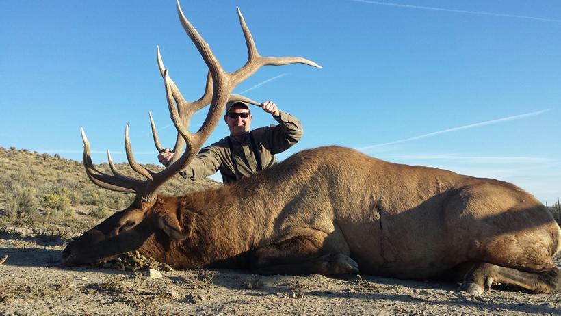 Nevada bull elk from g and j outdoors