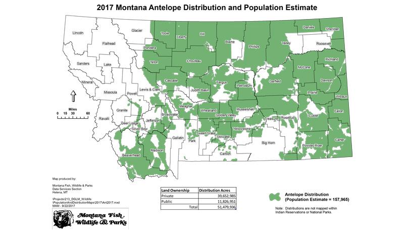 2017 montana antelope population and distribution