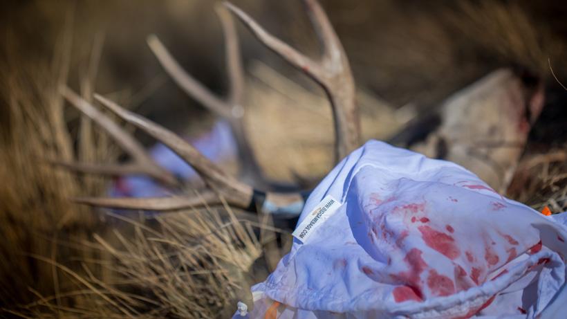 Caribou gear game bags for mule deer meat