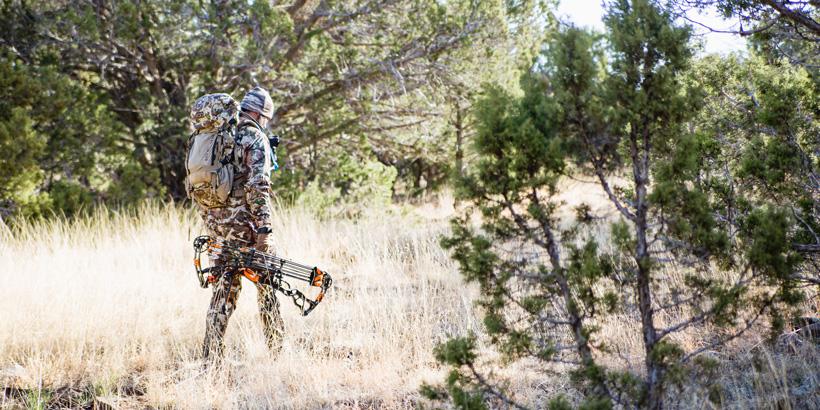 Hunting bucks in arizona_0